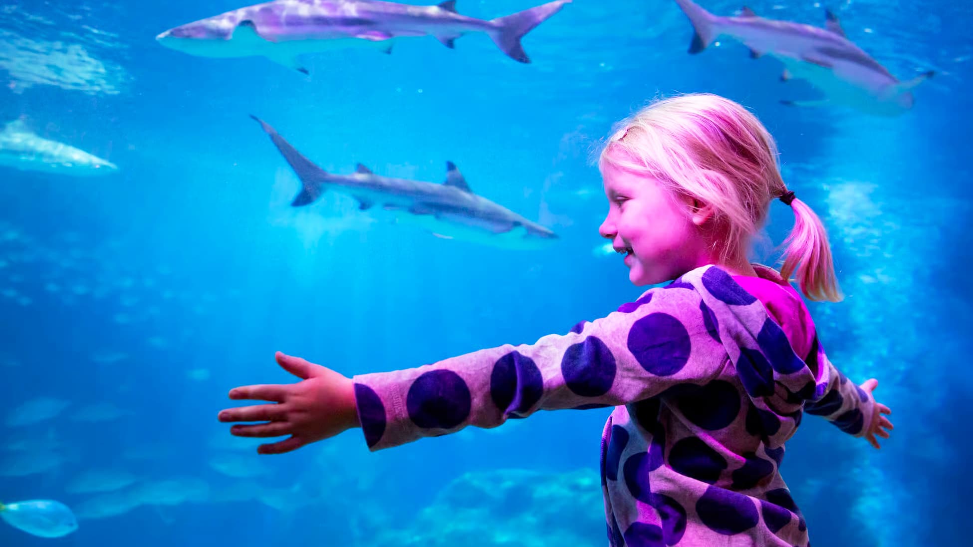 Oberhausen met SEA LIFE Aquarium incl. Hotel