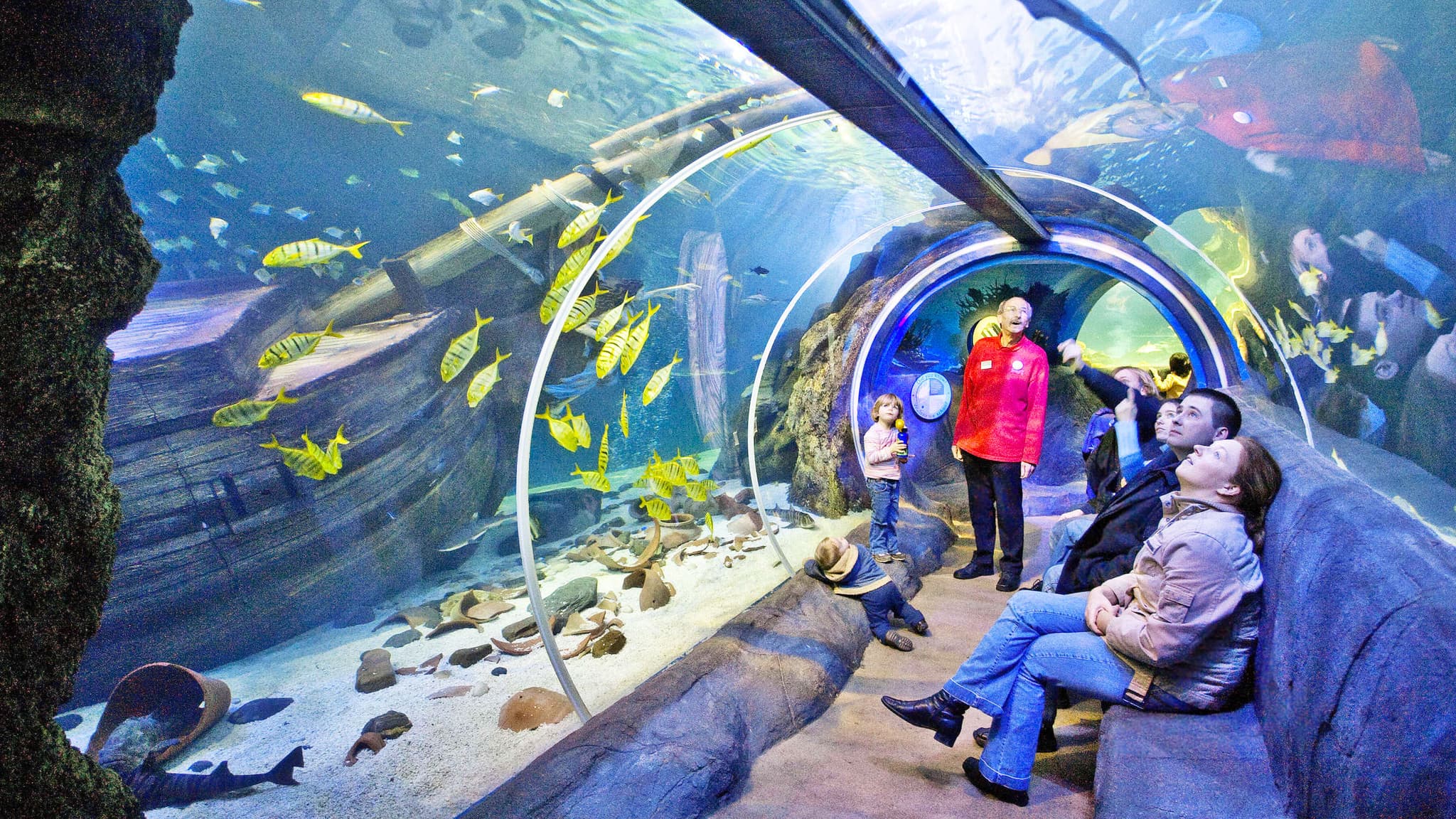 Oberhausen met SEA LIFE Aquarium incl. Hotel foto 3
