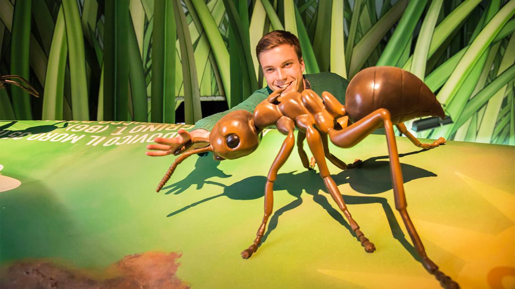 Ontdek Bremerhaven met Toegang tot Klimahaus Bremerhaven foto 2